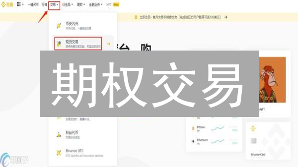 期权交易？新手也能快速上手，躺赚秘籍大公开！