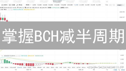 掌握BCH减半周期：你绝对想不到的未来趋势！