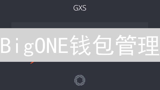 BigONE钱包管理：新手指南还是老生常谈？抓住数字资产安全命脉！