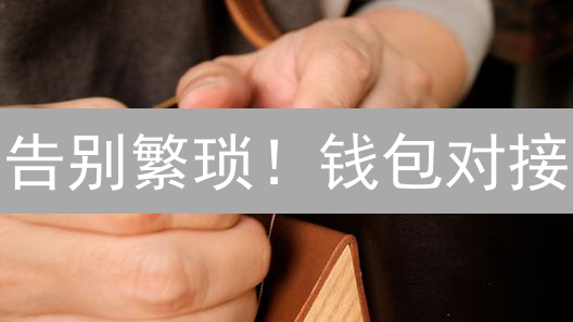 告别繁琐！钱包对接：Web3世界的通行证？（新手避坑指南）
